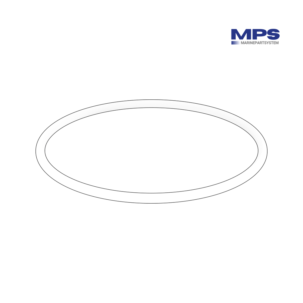 Volvo Penta Fuel Pump Mounting O-Ring - 968971